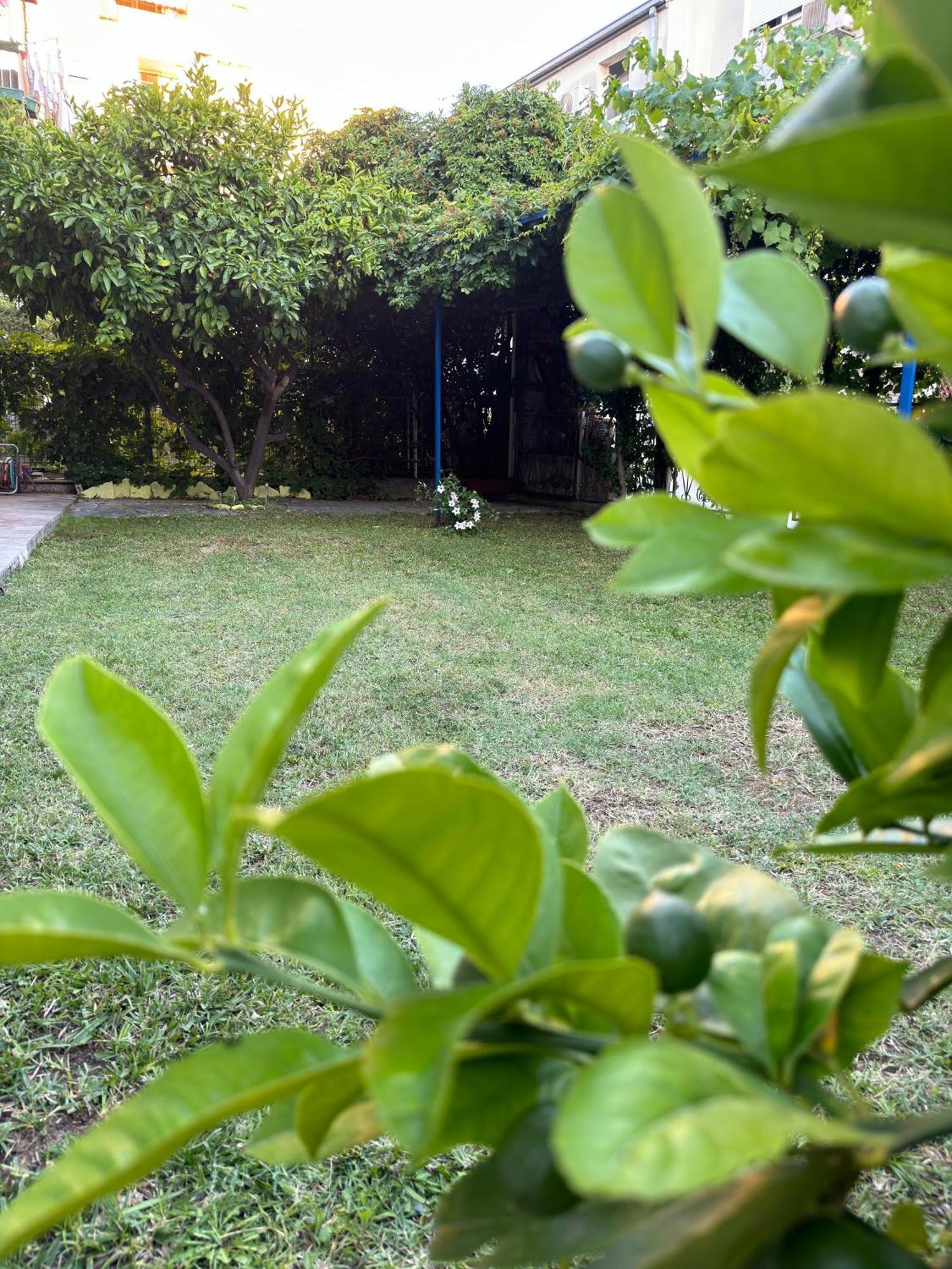 Appartement Valentinas Garden à Split Extérieur photo